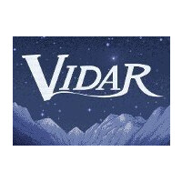 Vidar Steam CD Key