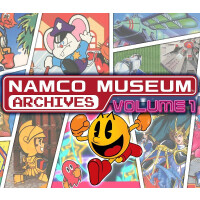 NAMCO Museum Archives Volume 1 PC Steam CD Key