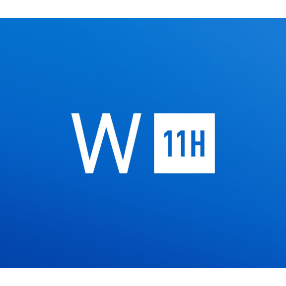 Windows 11 Home OEM Key