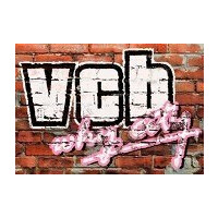 VCB: Why City Steam CD Key