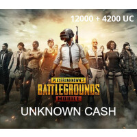 PUBG Mobile - 12000 + 4200 UC CD Key
