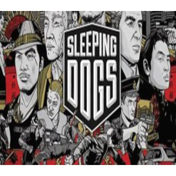 Sleeping Dogs JP Steam CD Key