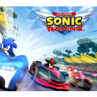 Team Sonic Racing Steam Altergift