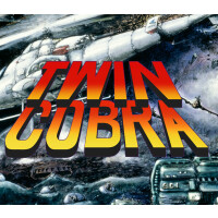 Twin Cobra Steam CD Key