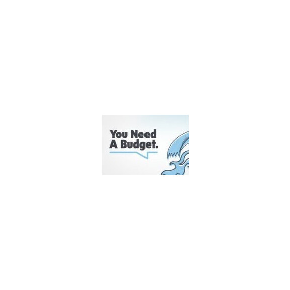 You Need a Budget 4 Steam Gift