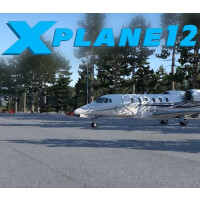 X-Plane 12 Steam Altergift