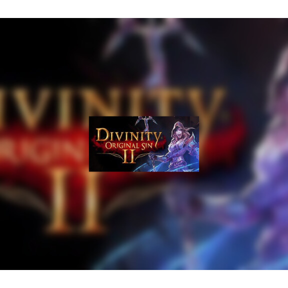 Divinity: Original Sin 2 Eternal Edition Steam Account