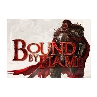 Bound By Flame Steam Gift