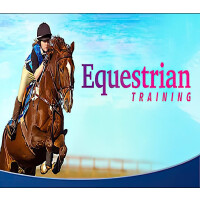 Equestrian Training Steam CD Key
