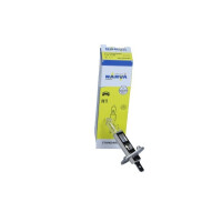 ŻARÓWKA H1 12V/55W P14,5S 0483203000