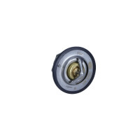TERMOSTAT OPEL 89C 1338005