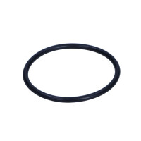 USZCZELKA TERMOSTATU DB E 2.0/2.2D 93- 601 203 00 76