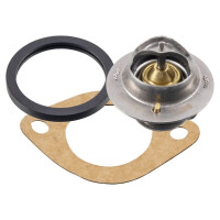 TERMOSTAT NISSAN 9004833011000 9004833011000
