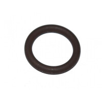 ORING FIAT DUCATO 06/ 14 BAGNET OLEJU 1.78X9.25 016470