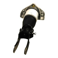 AMORTYZATOR VW P. TOUAREG PR 02- PNEUMATIC 7L8616040D