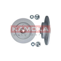 TARCZA HAMULC. TYŁ RENAULT SCENIC 09- 432000007R