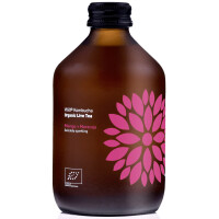 Kombucha Mango + fructul pasiunii BIO 330 ml - Vigo