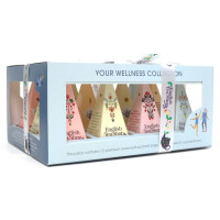 Set de ceai piramidal Welness (12x2) BIO 24 g