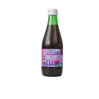 Kombucha cu aromă de Acai berry (Juicy Life Acai Berries) bio 330 ml - Kombucha by Laurent