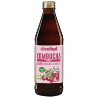 Kombucha cireșe-mint BIO 330 ml