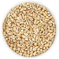 Spelt (boabe) bio (materie primă) (25 kg) 8