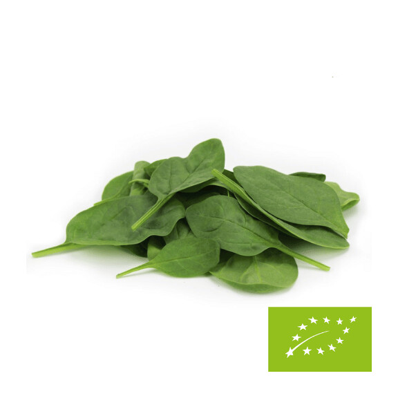 Spanac mic proaspăt nespălat BIO (aproximativ 0,10 kg)