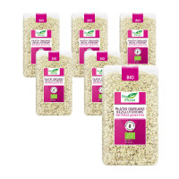 PACHET 6 x Fulgi de ovăz fără gluten BIO 600 g - Bio Planet