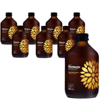 Set de 8 x Kombucha Yerba Mate Bio 330 ml