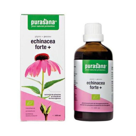 Echinacea forte (Echinacea purpurea) picături BIO 100 ml