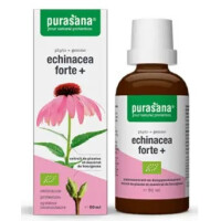 Echinacea forte (Echinacea purpurea) picături BIO 50 ml