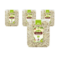 PACHET 4 x Fulgi de ovăz fără gluten BIO 1 kg