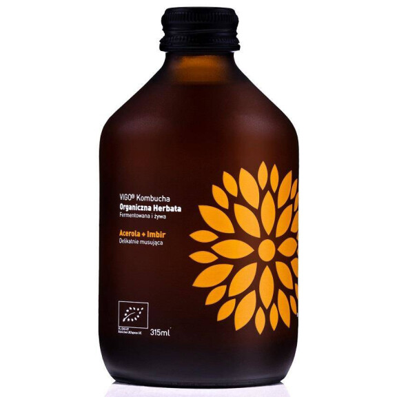 Kombucha Ginger+Acerola BIO 330 ml