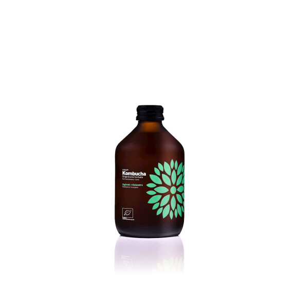 Kombucha Castravete+Coriandru BIO 315 ml