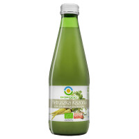 Suc de pătrunjel murat Bio 300 ml