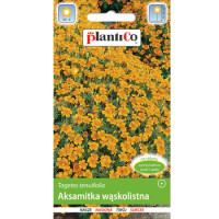 Aksamitka Wąskolistna Żółta Plantico - PlantiCo