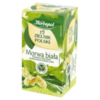 Zielnik Polski Morwa Biała 20Tb/40G - ZIELNIK POLSKI