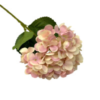Hortensja 60 Cm - Comfort Living