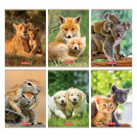 Zeszyt Herlitz A5 32 Linia Podwójna Animals - HERLITZ