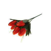 Bukiet Tulipanów - KWIATOLANDIA
