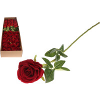 Róża Pojedyncza Czerwona 68 Cm - KWIATOLANDIA