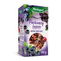 Napar Owocowy Pachnący Lasem 100 G - Herbapol Lublin - Herbapol