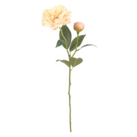 Róża Herbaciana 45Cm - Comfort Living