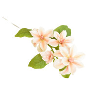 Magnolia 72Cm - Comfort Living