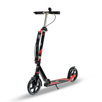 Hulajnoga City Cruise 200 - Carromco