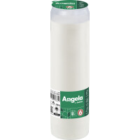 Wkład Angela Z Olejem Rspo Rc6 - Bolsius