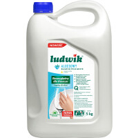 Ludwik Balsam Do Mycia Naczyń Aloesowy 5Kg - Ludwik