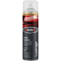 Wosk W Sprayu 500Ml Holts - Holts