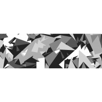 Folia Camo Wzór 19