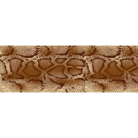 Folia Animal Wzór 6