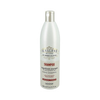 ALFAPARF IL SALONE MAGNIFICENT Szampon ochronny do włosów farbowanych 500ml